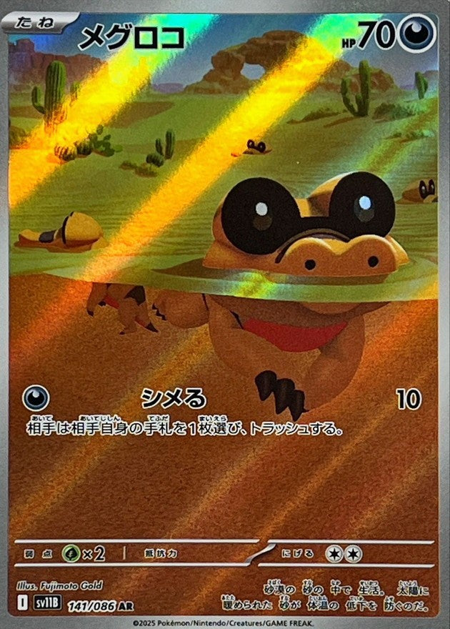 Sandile AR (sv11b-141/086)