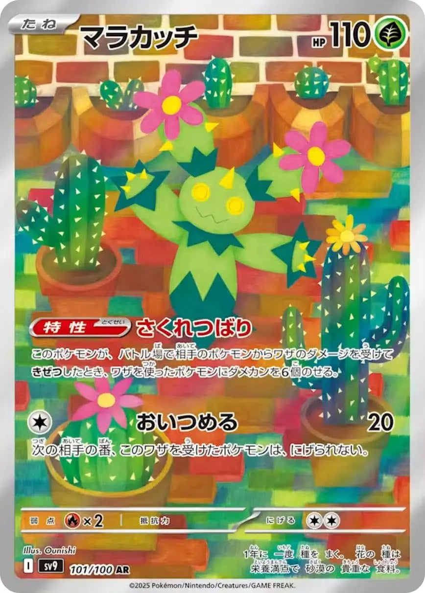 Maractus AR (sv9-101/100)