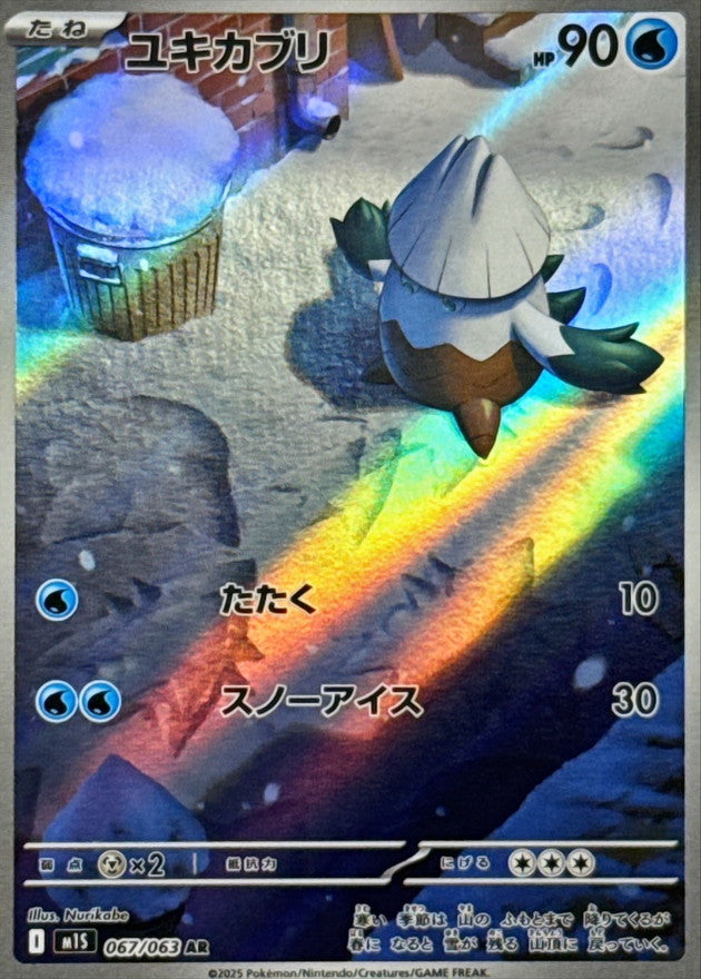 Snover AR (m1s-067/063)