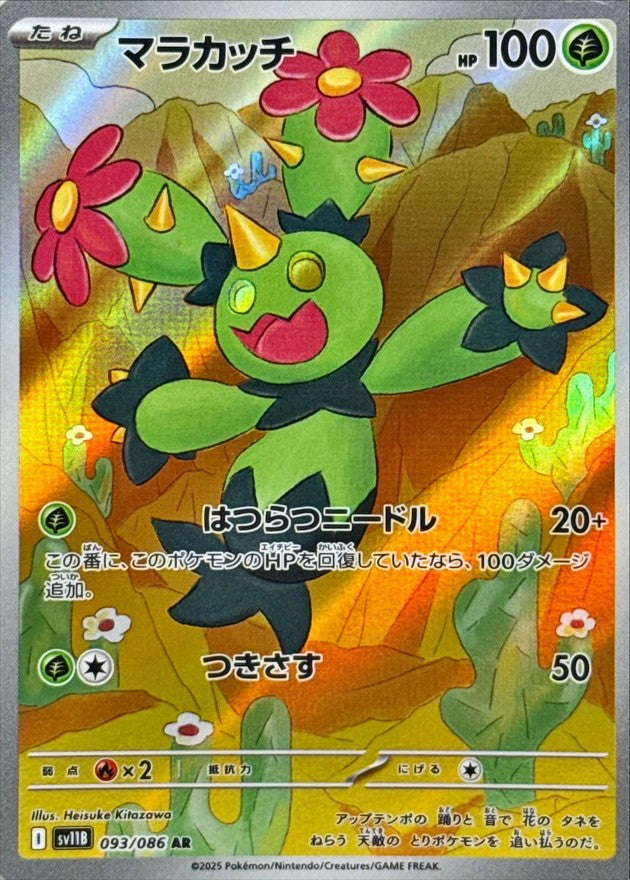 Maractus AR (sv11b-093/086)